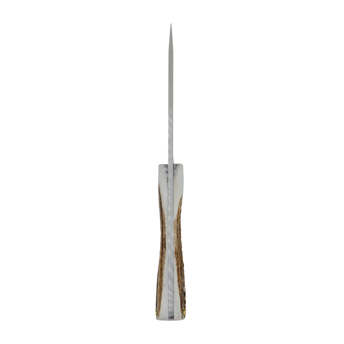 Spika Bushmaster Ol'Boy hunting knife viewed spine-on, showing blade thickness and handle profile
