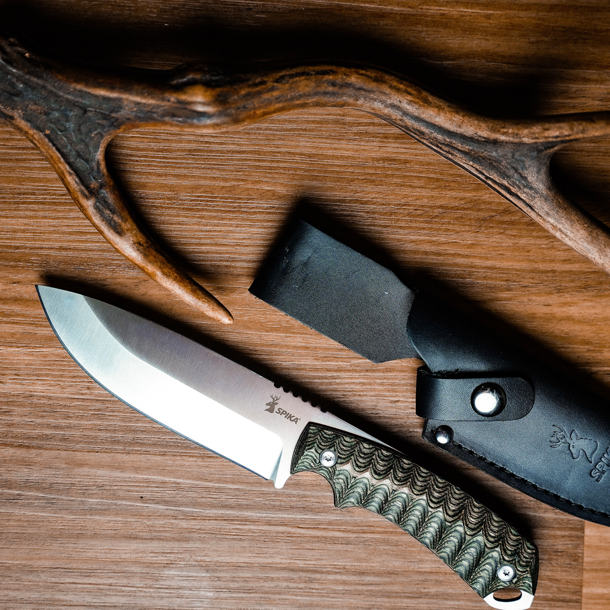 Spika Bushmaster Dogtooth knife and black leather sheath laid on a timber table beside an antler