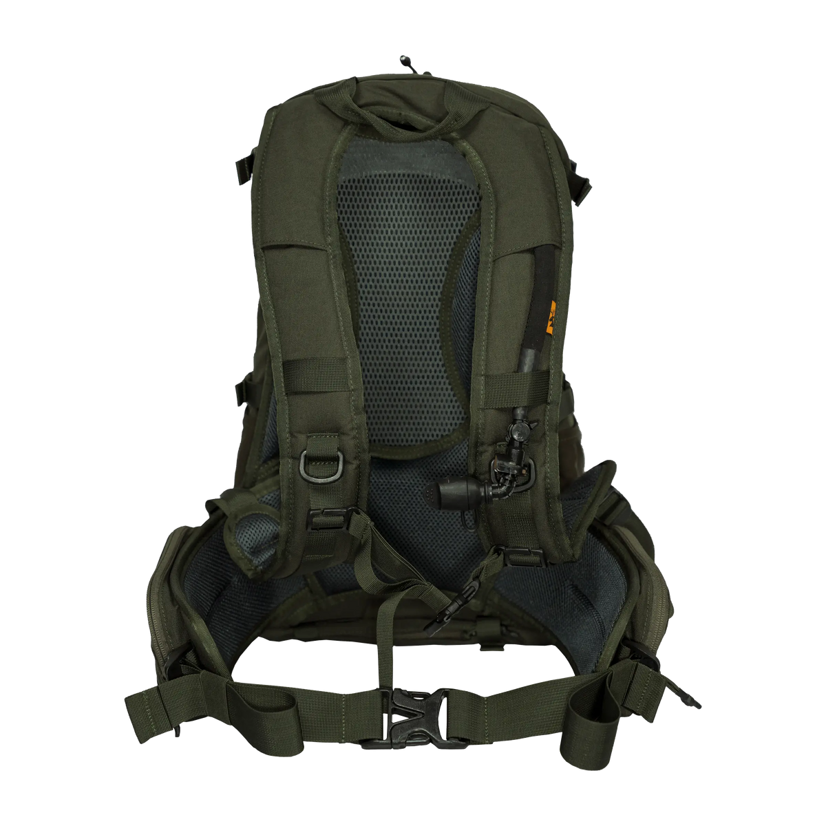 Spika Drover II Pro Pack 25L in Olive Summit, rear view of mesh back panel, harness and hip belt buckle