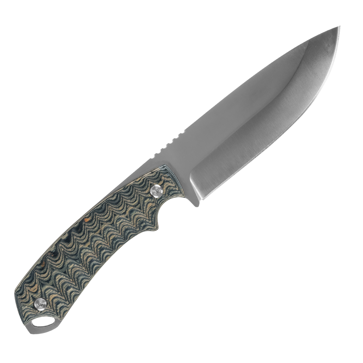 Spika Bushmaster Dogtooth fixed blade knife, reverse side view with jimping on the spine and lanyard hole