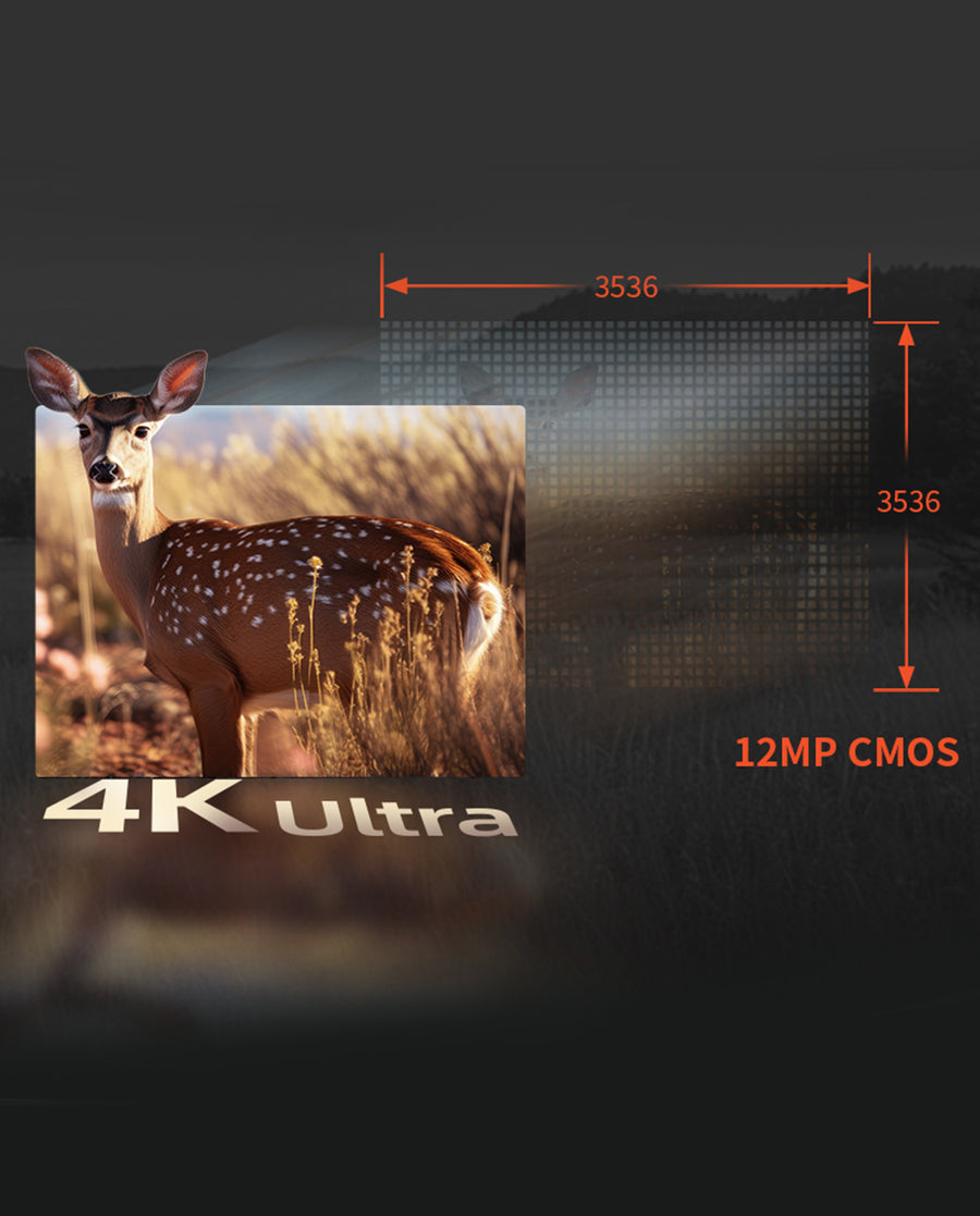 4K Ultra Clarity