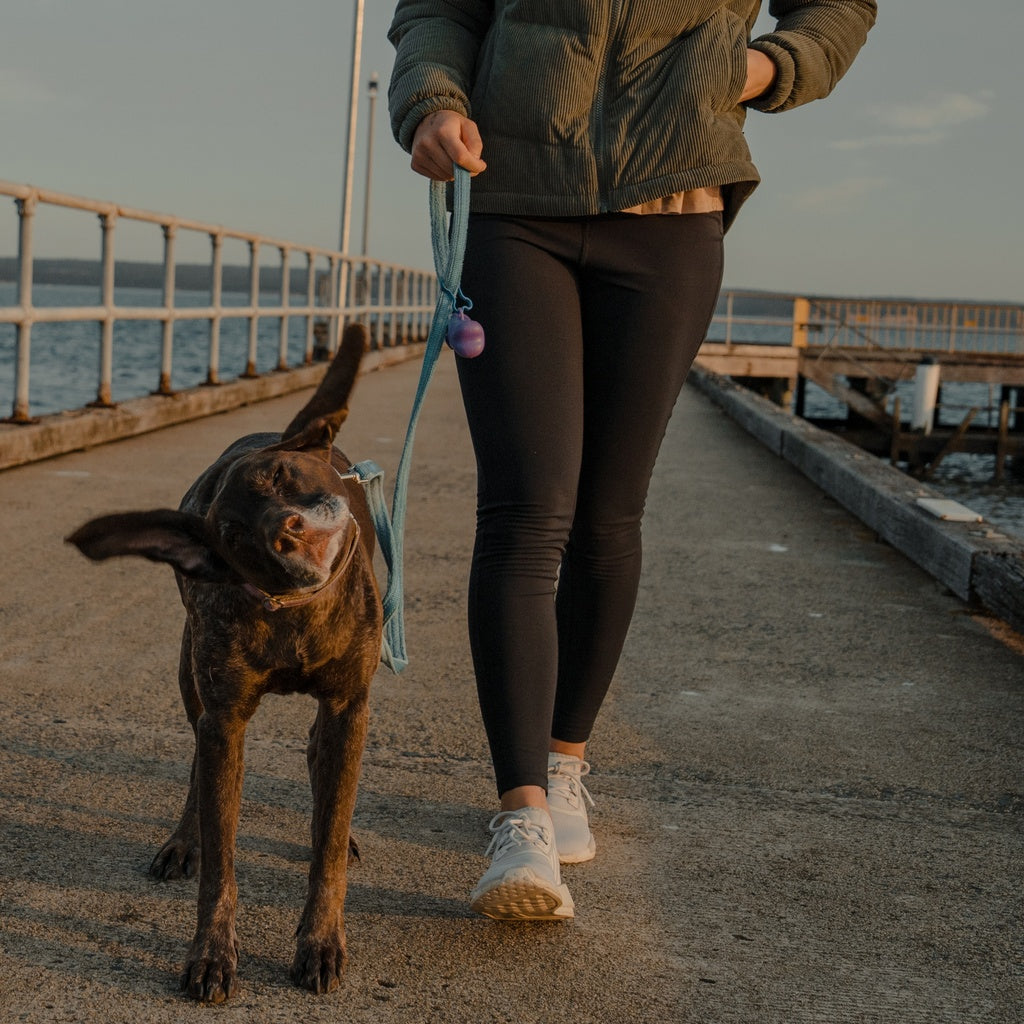 Woman walking a dog on a jetty wearing Spika GO Ember women's black leggings
