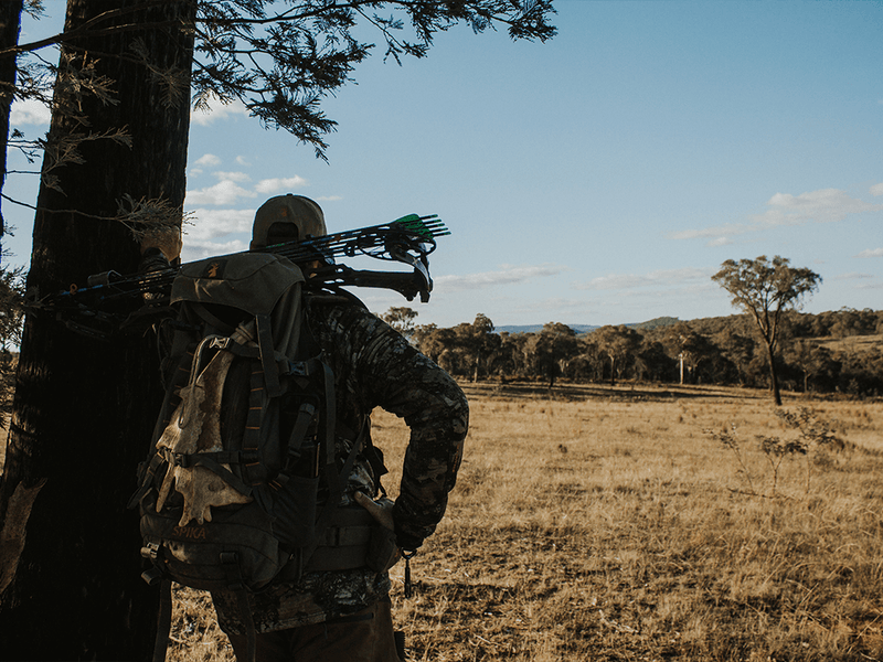 Chasing The Last Croak