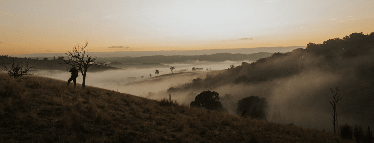 Chasing The Last Croak