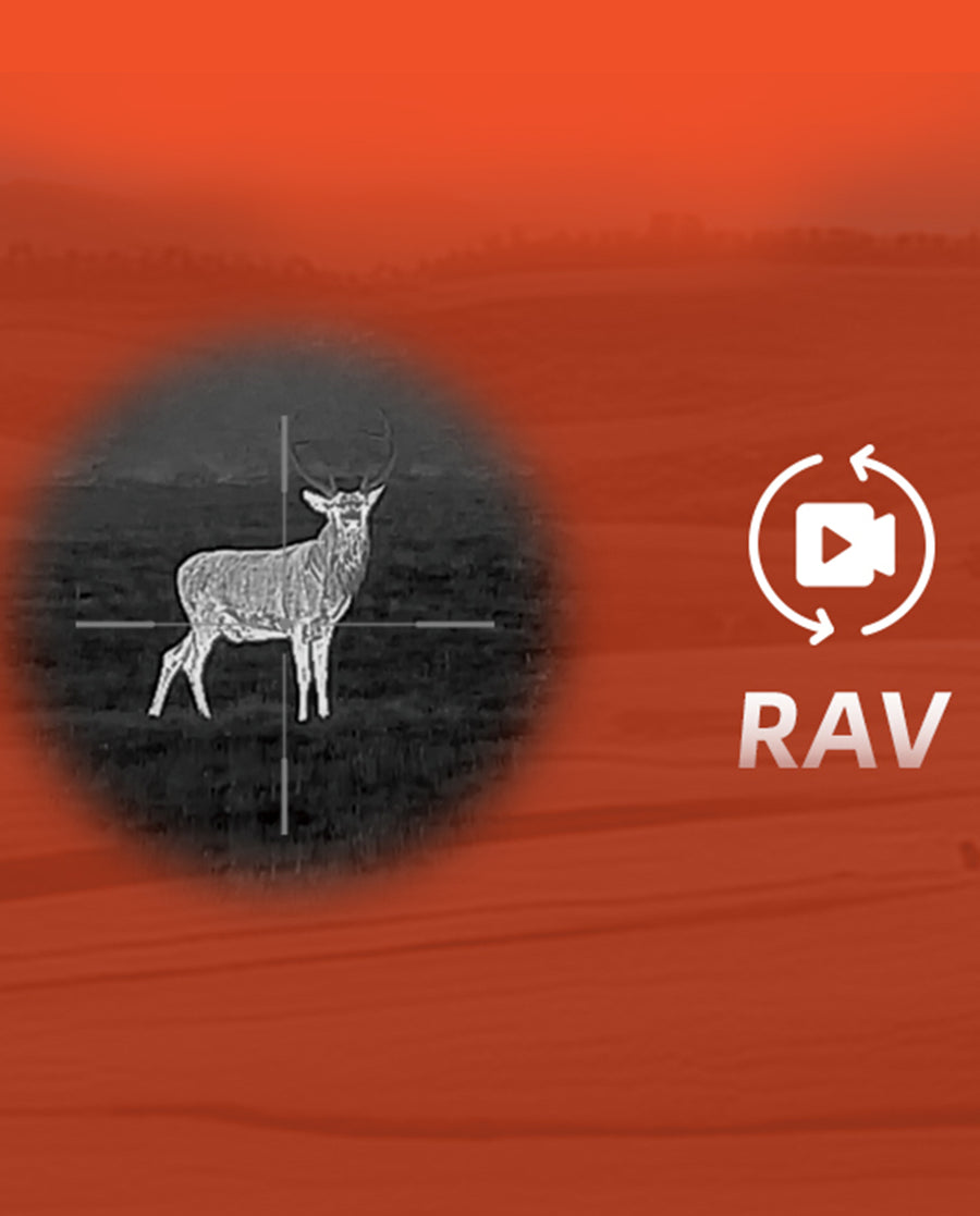 Zero & RAV One-Shot Sync