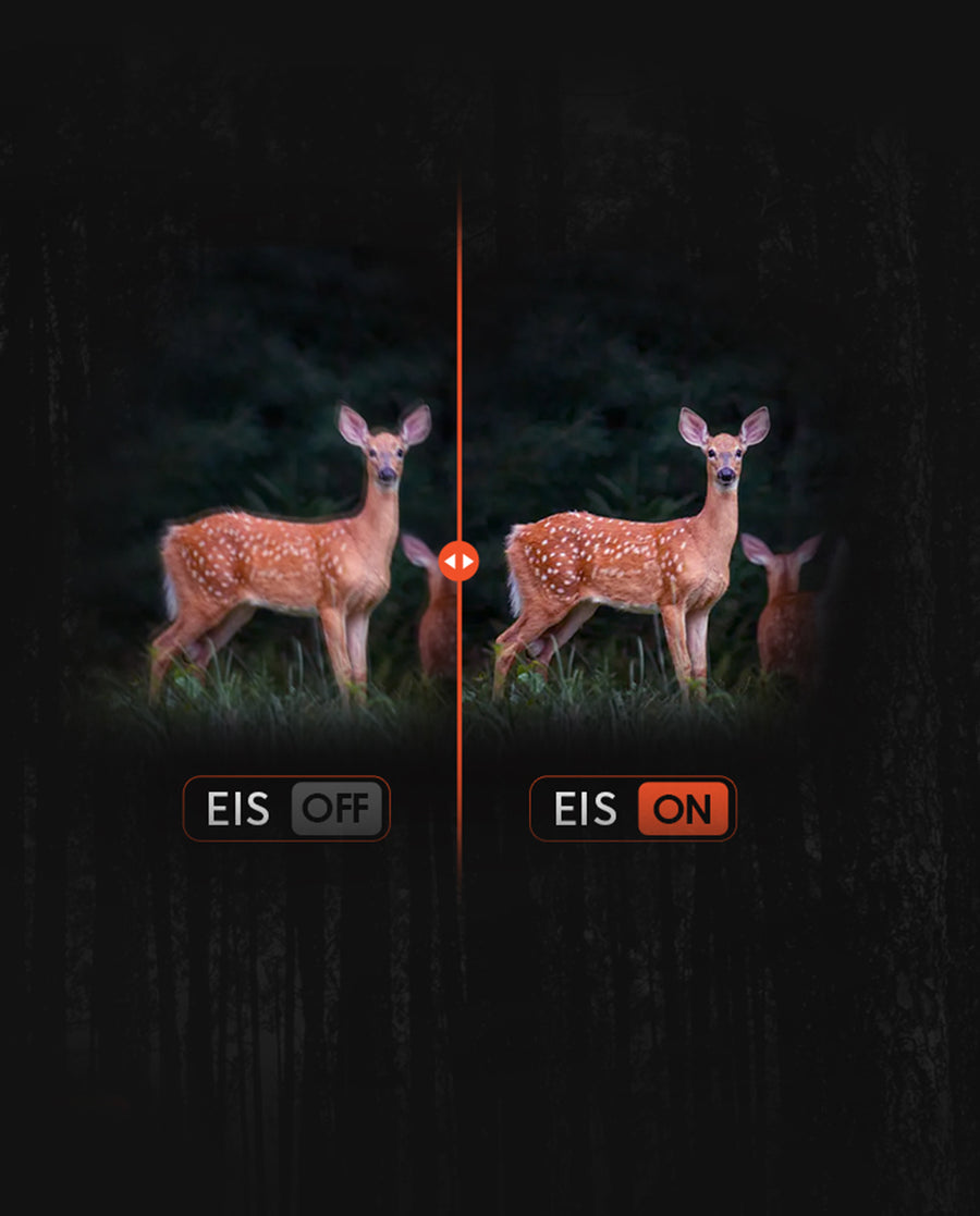 EIS Vision Stability